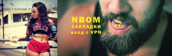 трава Няндома