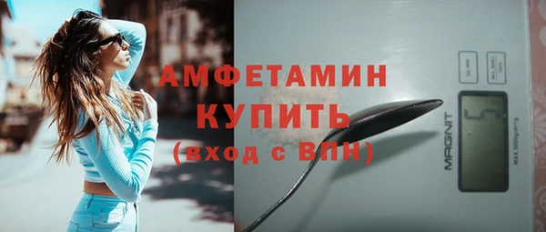трава Няндома