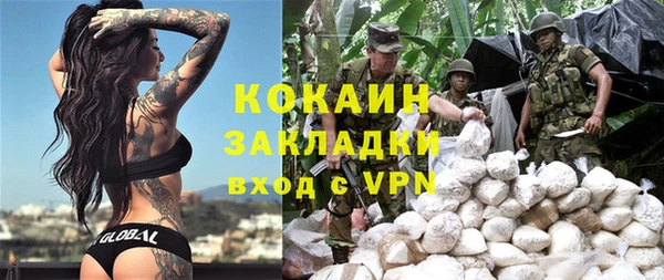 трава Няндома