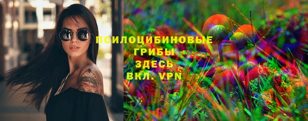 трава Няндома