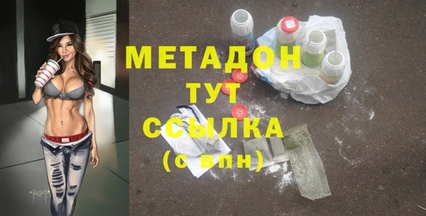 трава Няндома