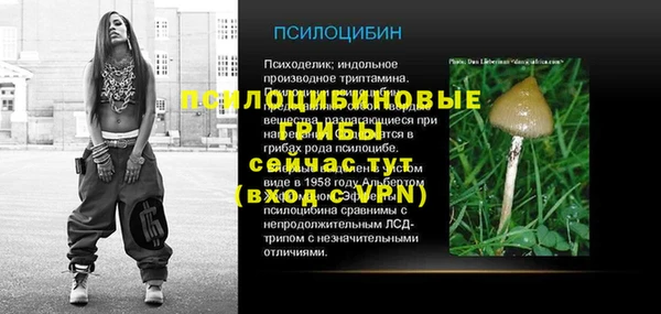 трава Няндома