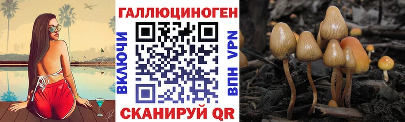 Псилоцибиновые грибы мухоморы где можно купить наркотик OMG рабочий сайт Южа